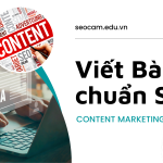 Nhận Dịch Vụ Thuê Viết Bài Chuẩn SEO Giá Rẻ, Chất Lượng Thủ Công
