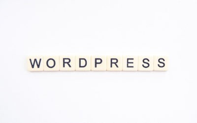 Pourquoi choisir le CMS WordPress pour votre site ?